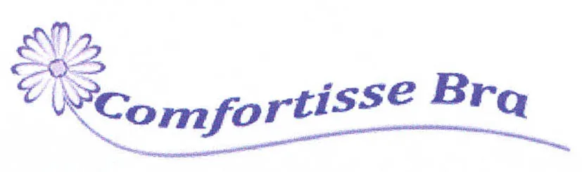 COMFORTISSE BRA