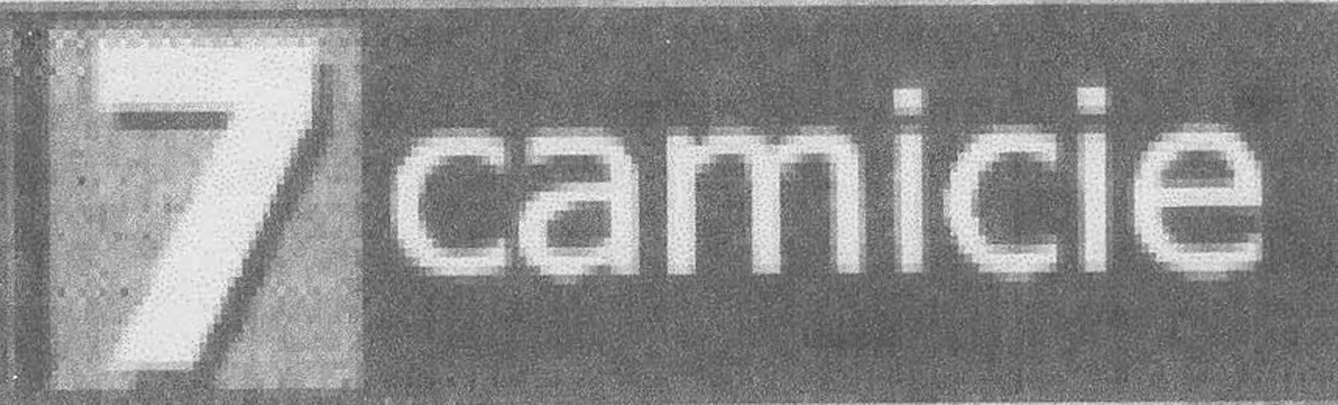 7CAMICIE