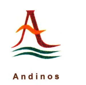 A ANDINOS