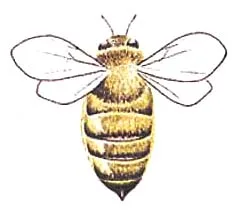 Acta 858704