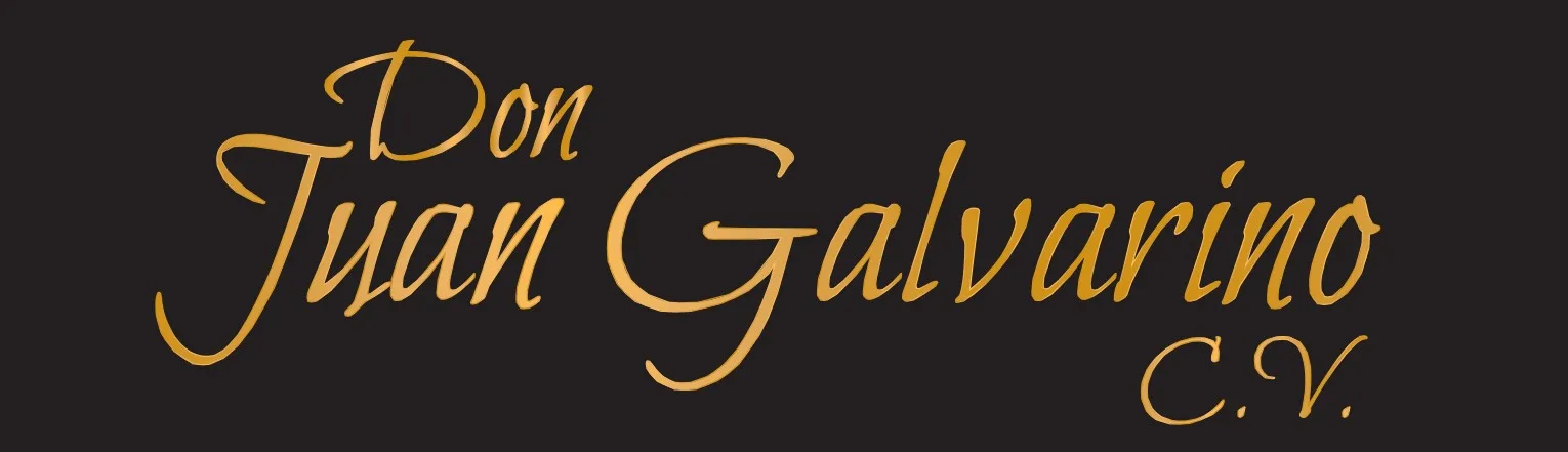 DON JUAN GALVARINO C.V.