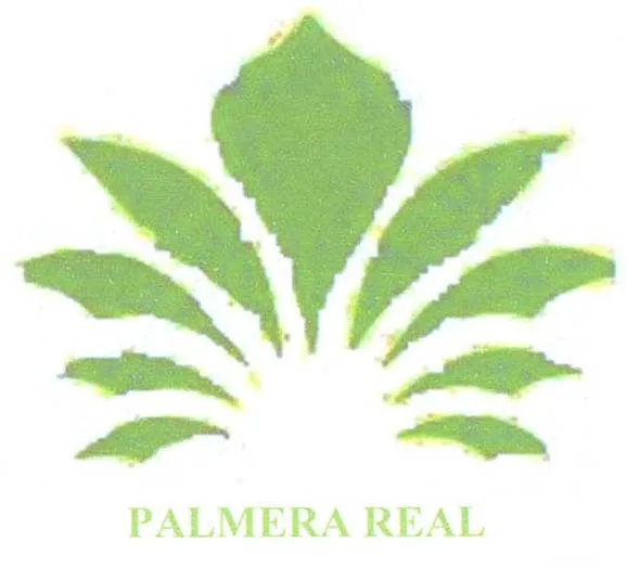 PALMERA REAL