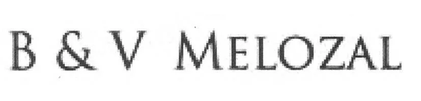 B & V MELOZAL