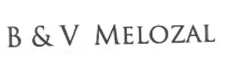 B & V MELOZAL