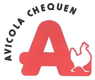 A AVICOLA CHEQUEN