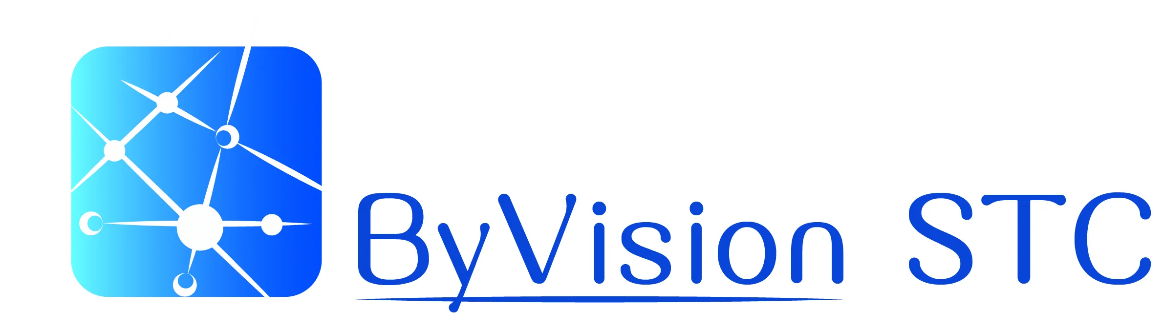 BY VISION STC