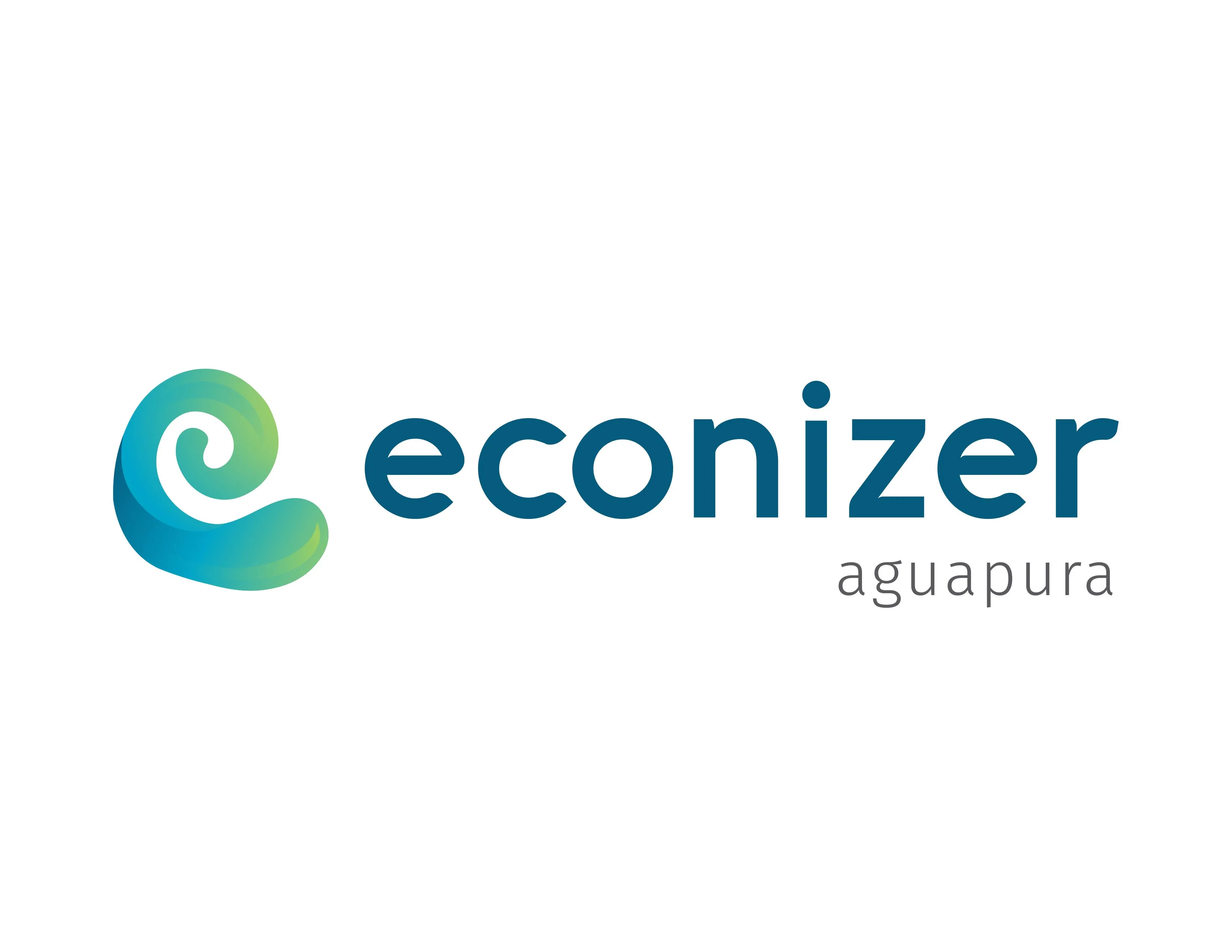 e econizer