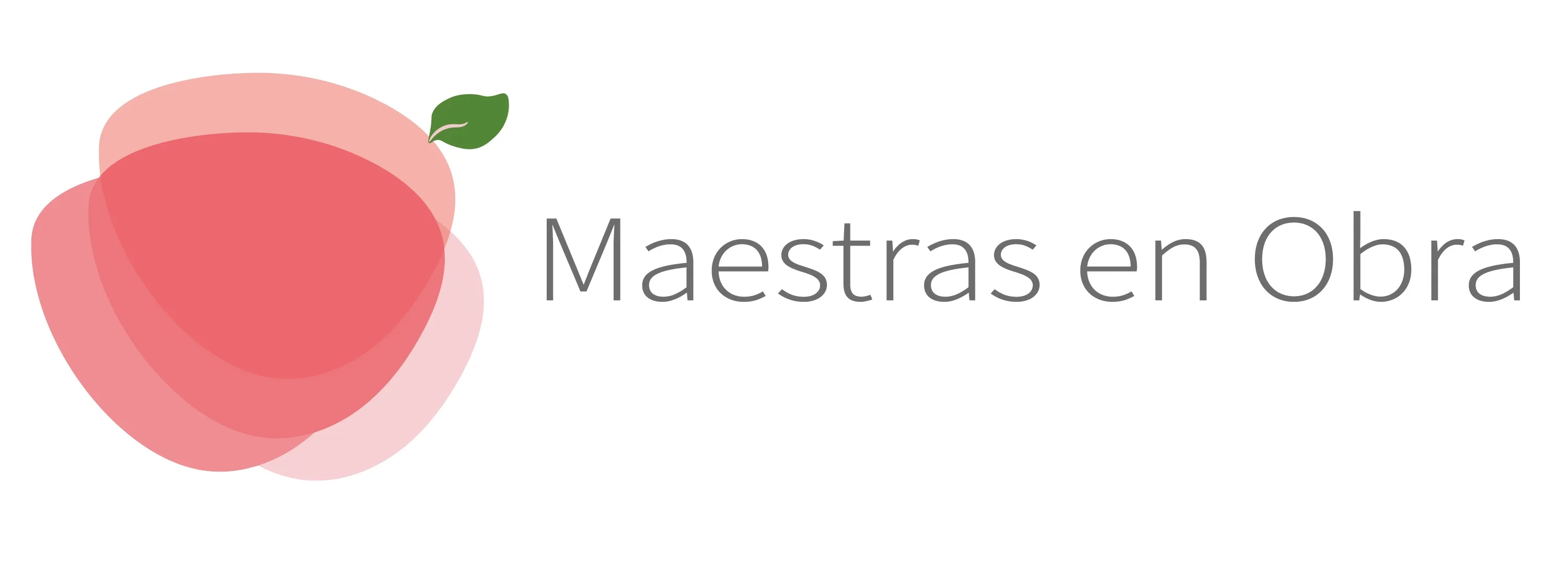 MAESTRAS EN OBRA