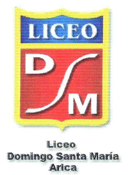 LICEO DSM DOMINGO SANTA MARIA ARICA