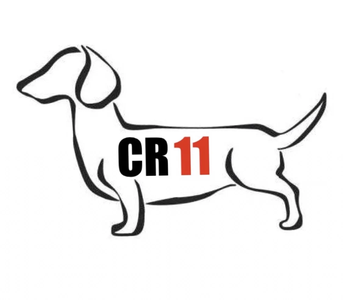 CR 11