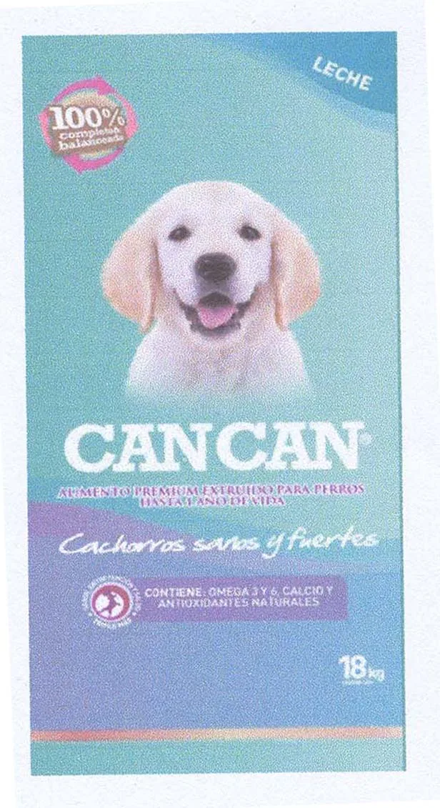 CAN CAN