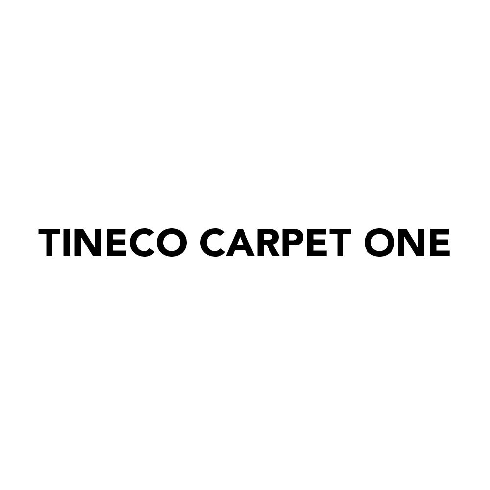 Tineco Carpet One