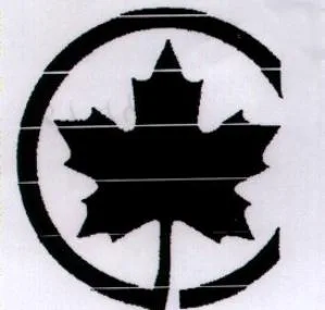 Acta 1041713