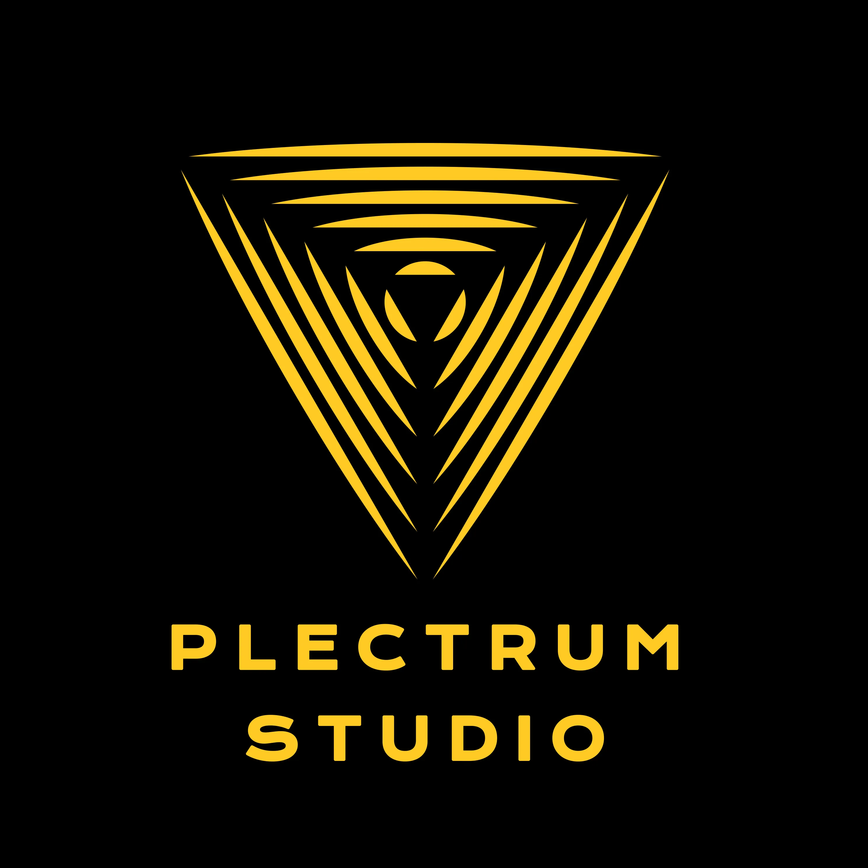 Plectrum