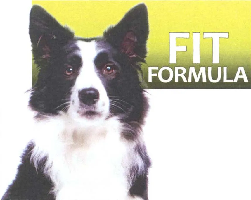 FIT FORMULA