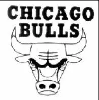 CHICAGO BULLS