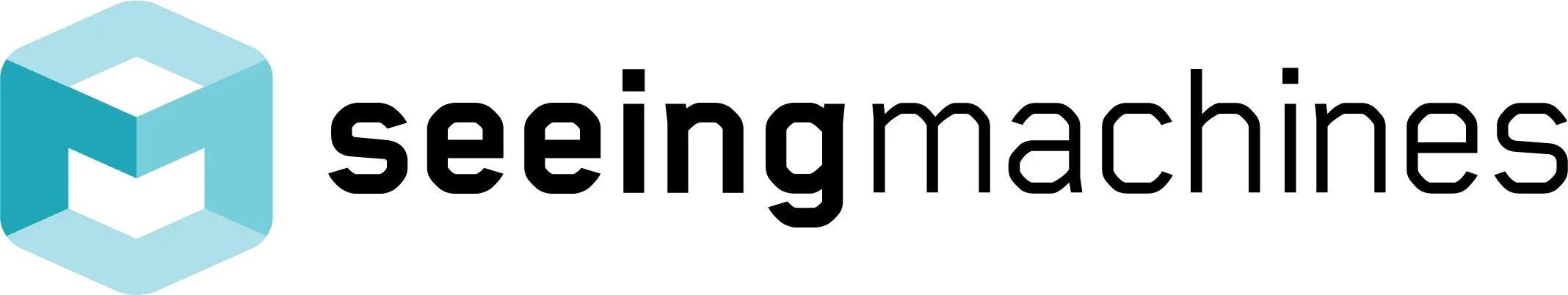 SEEINGMACHINES