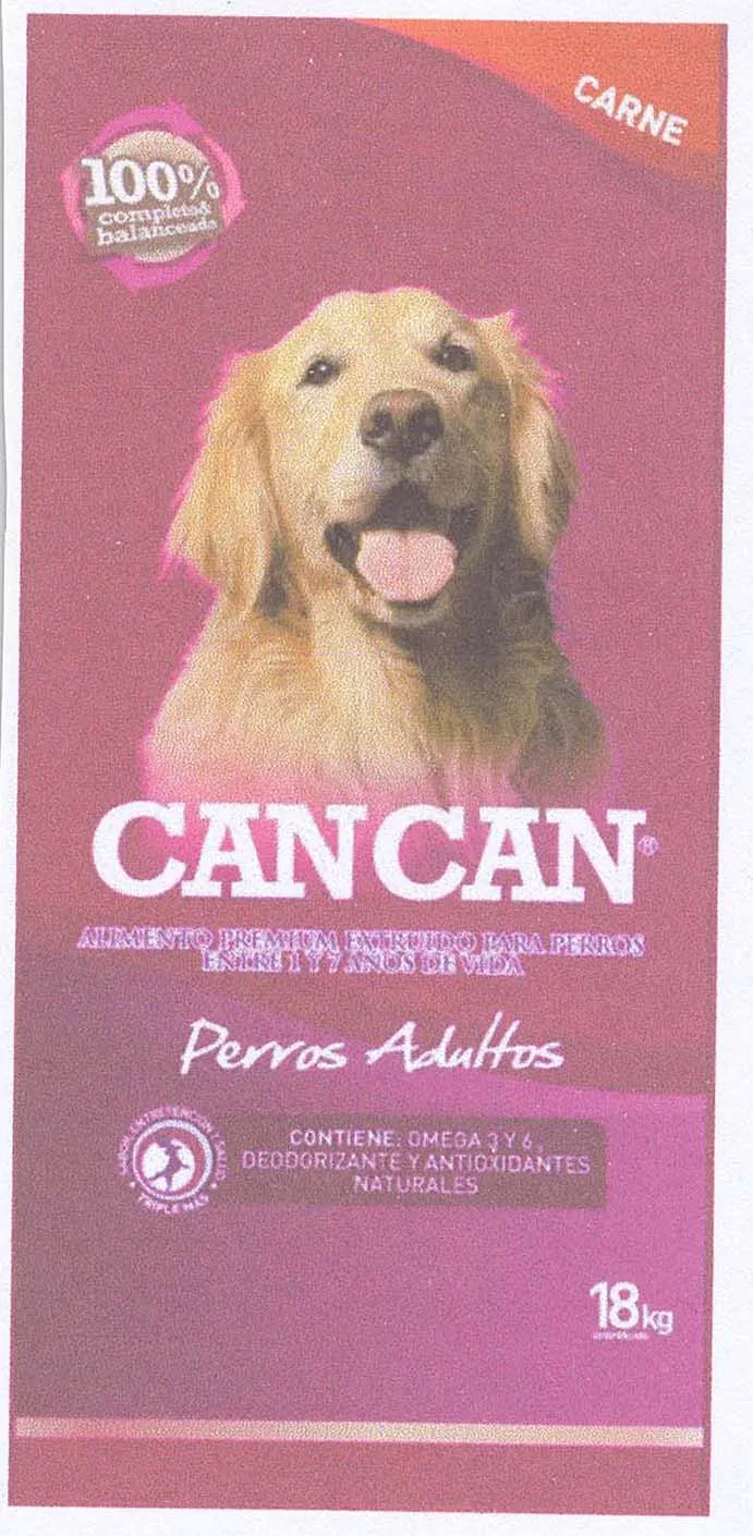 CAN CAN