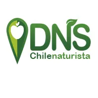 DNS CHILENATURISTA