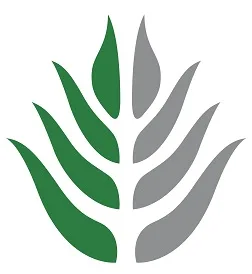 Acta 1150717