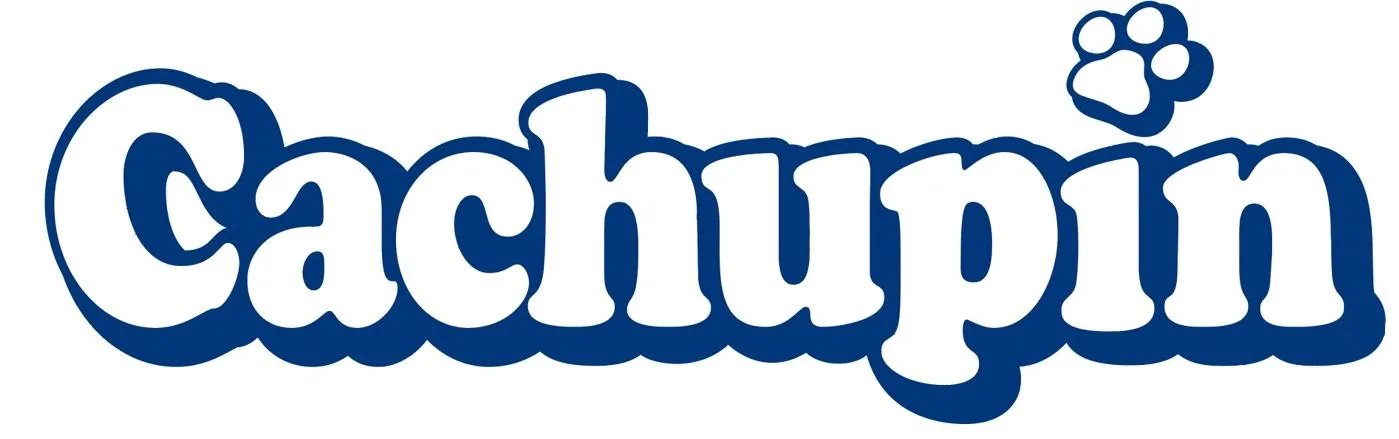 CACHUPIN