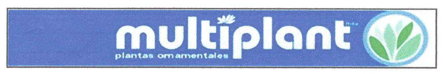 MULTIPLANT