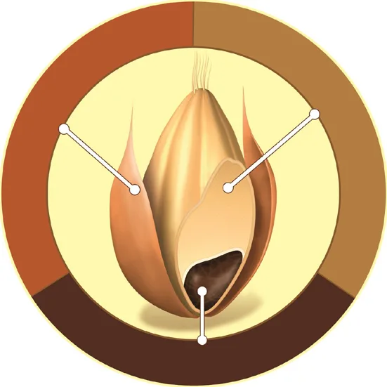 Acta 1030722