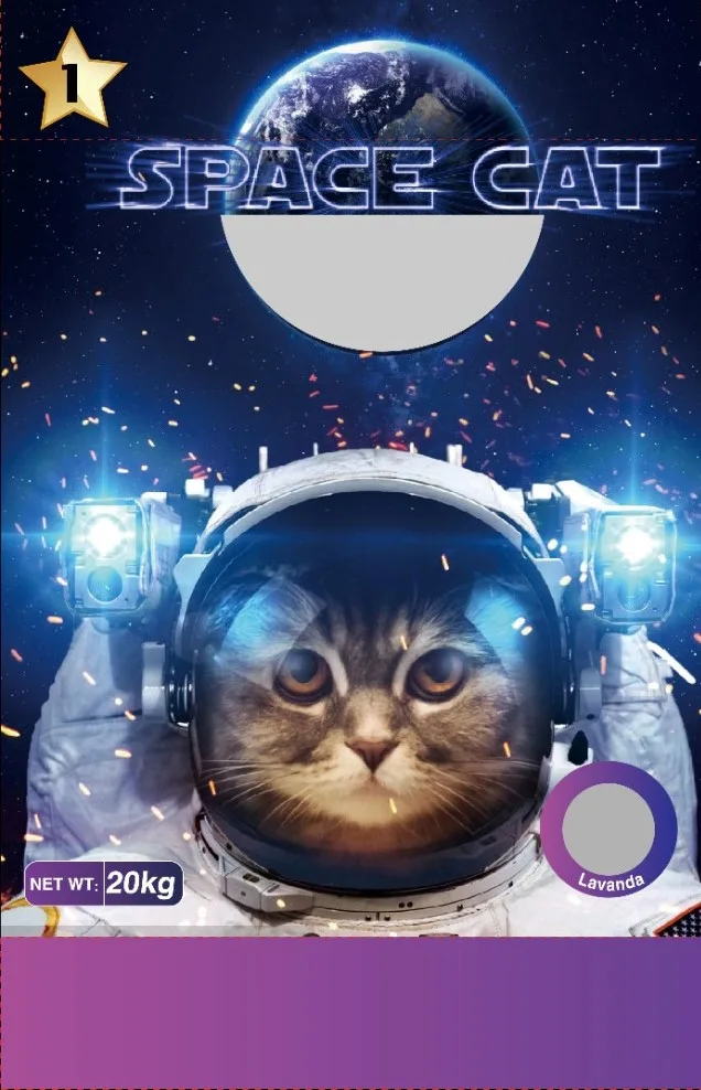 SPACE CAT