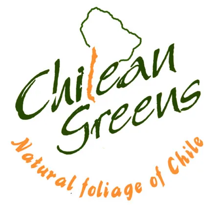 CHILEAN GREENS