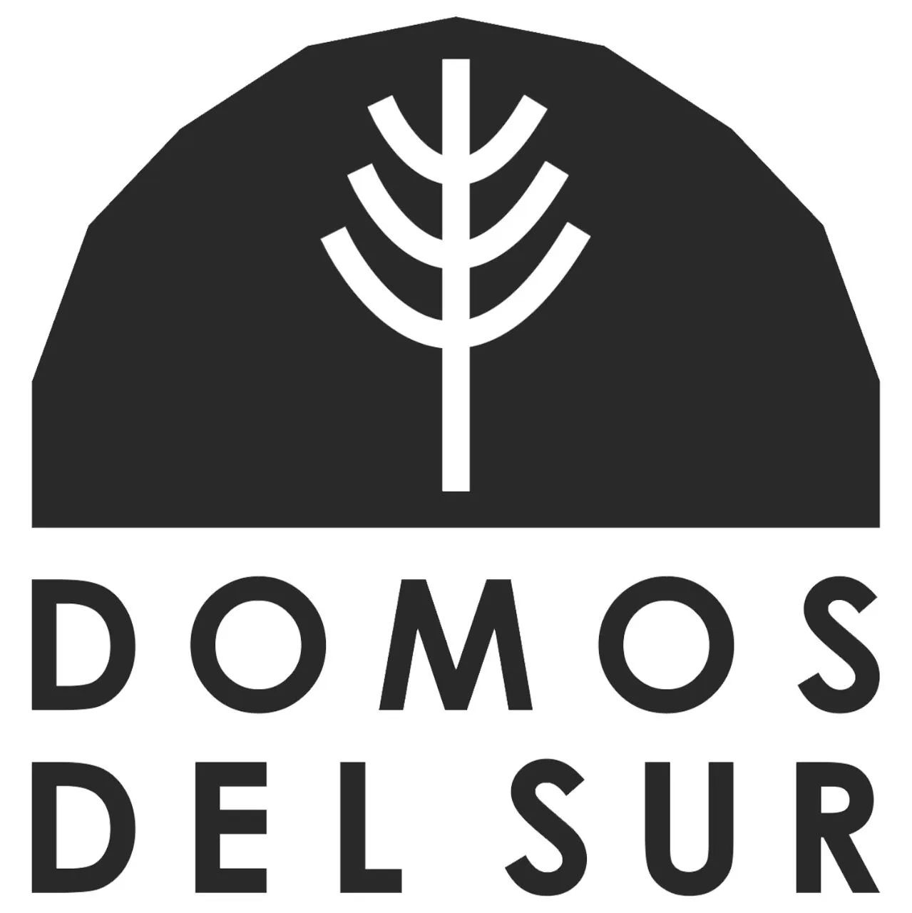 DOMOS DEL SUR