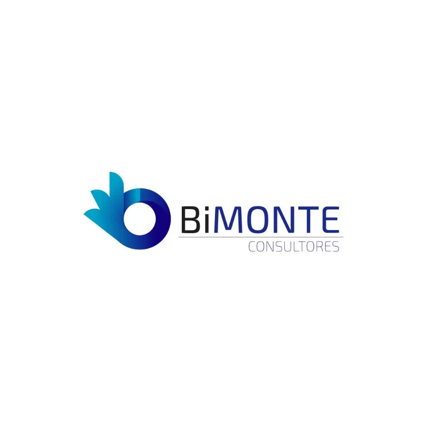 BIMONTE CONSULTORES