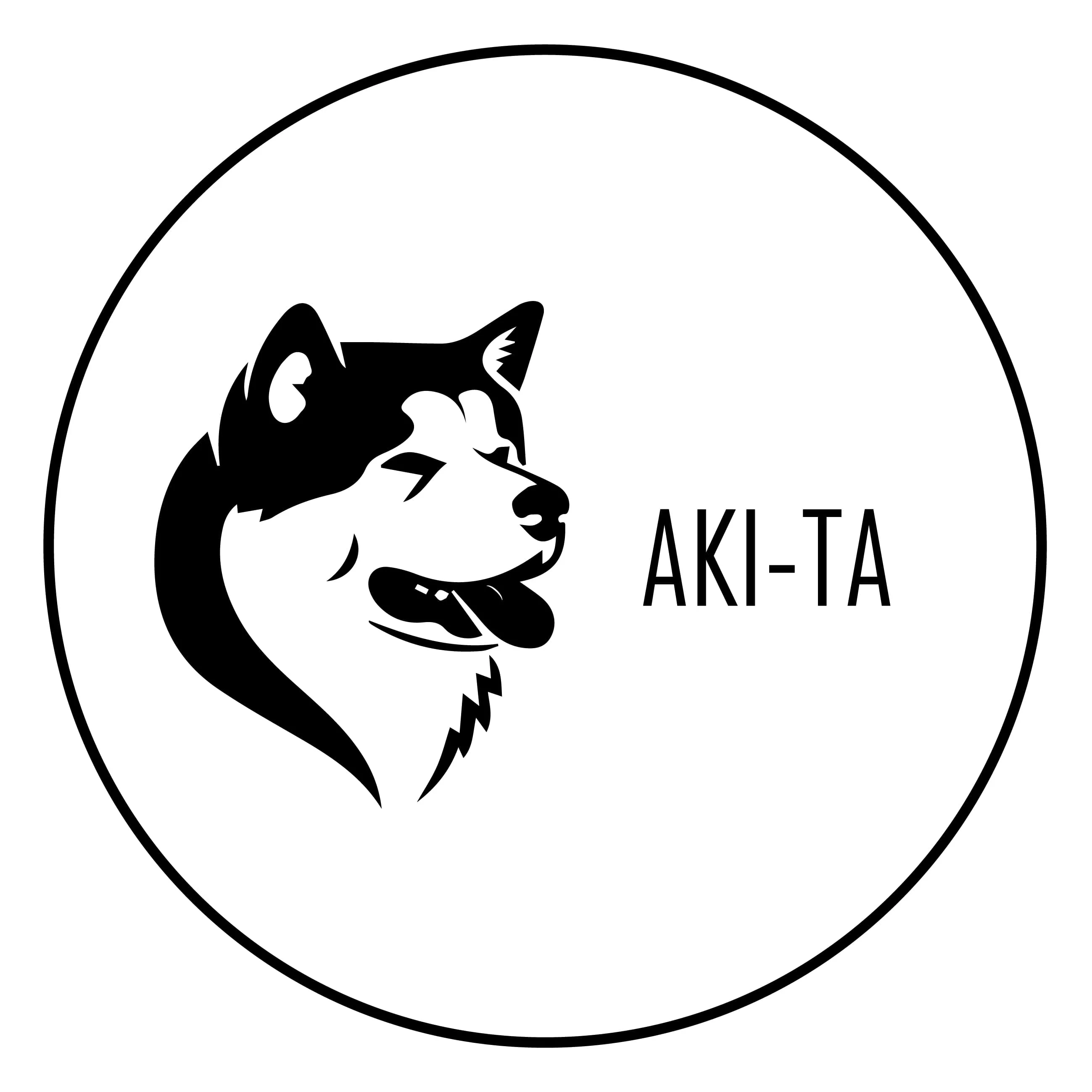 Aki-Ta