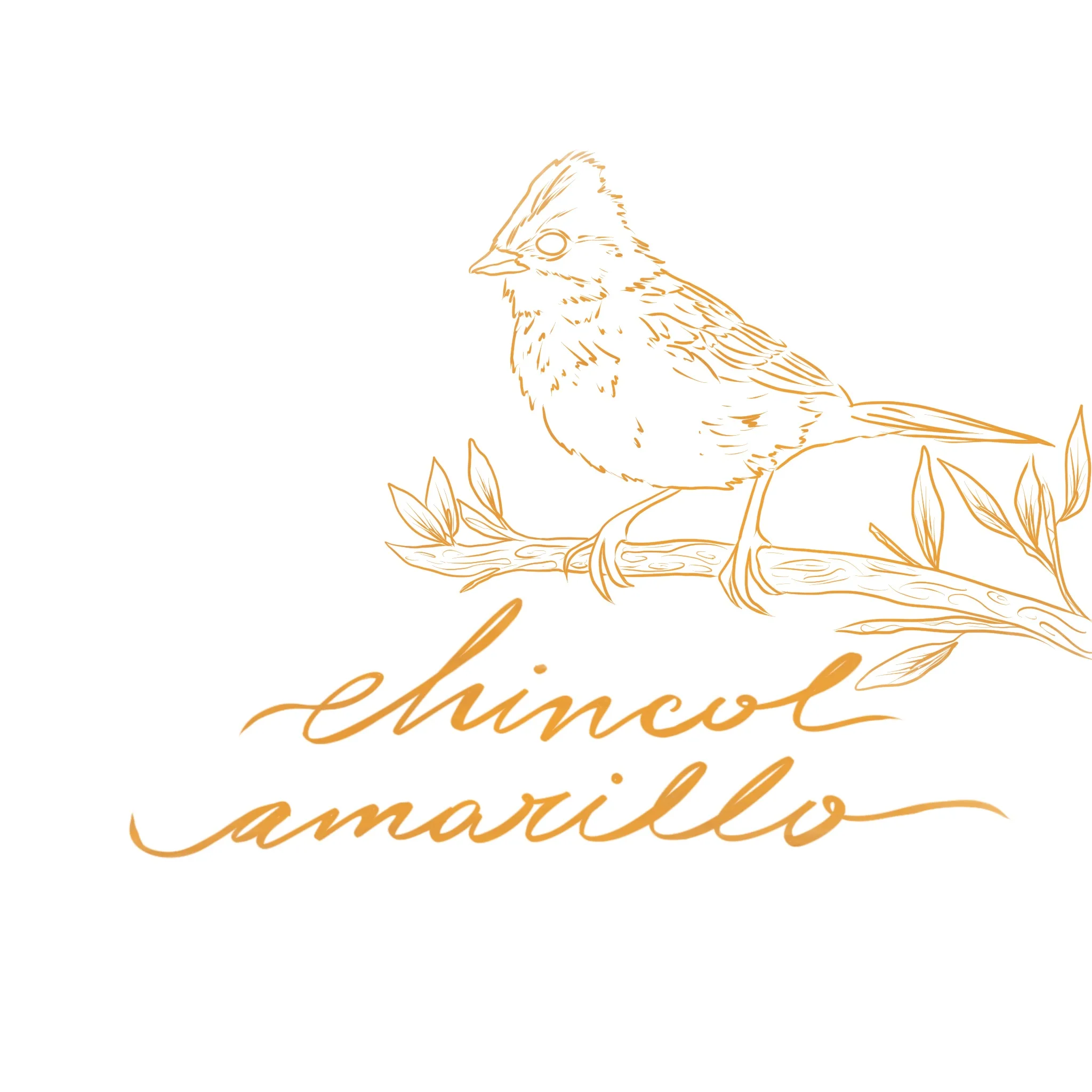 CHINCOL AMARILLO