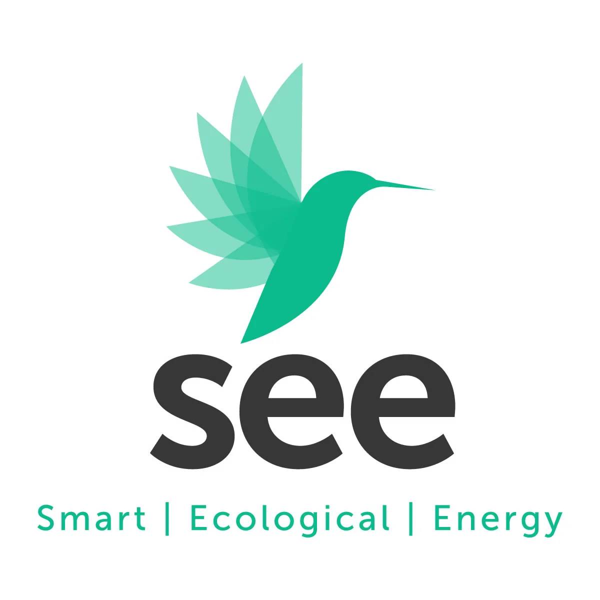 SEE Smart Ecological Energy
