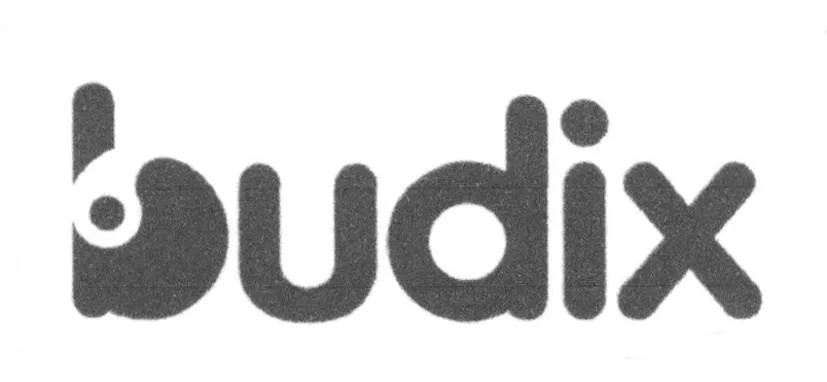 BUDIX