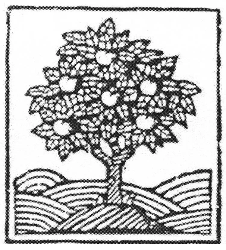 Acta 1001731