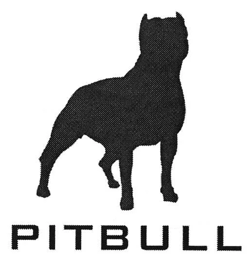 PITBULL