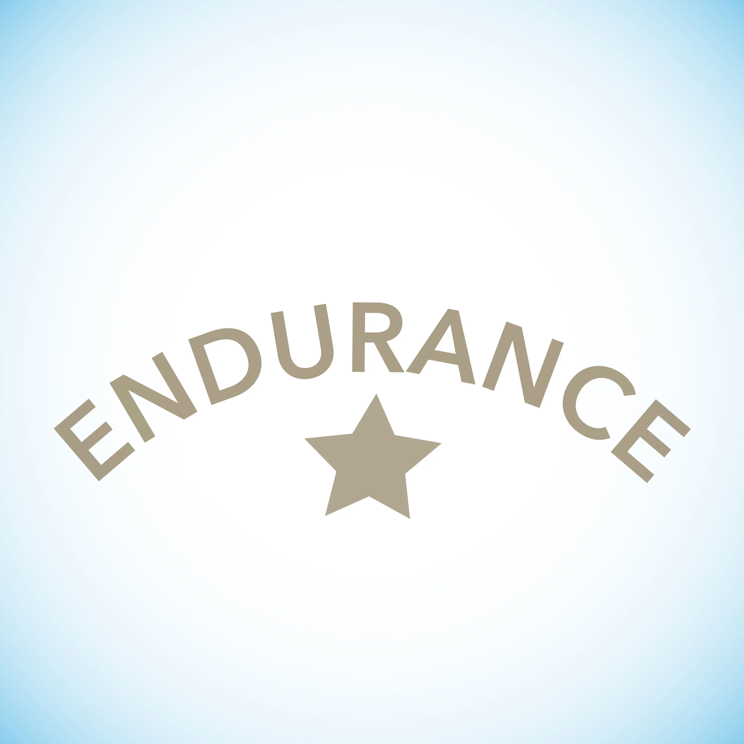 ENDURANCE