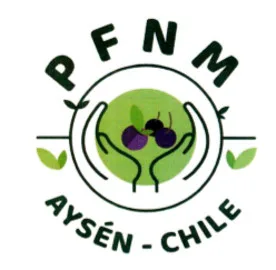PFNM AYSÉN - CHILE