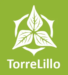 Torrelillo