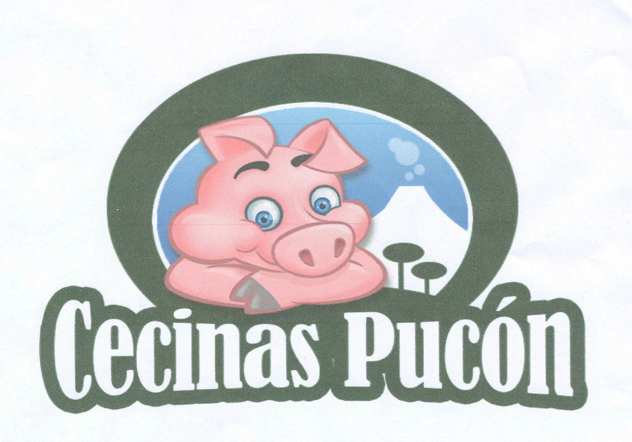 CECINAS PUCON
