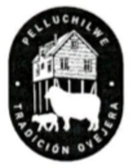 Pelluchilwe