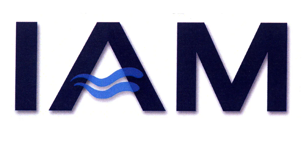 IAM