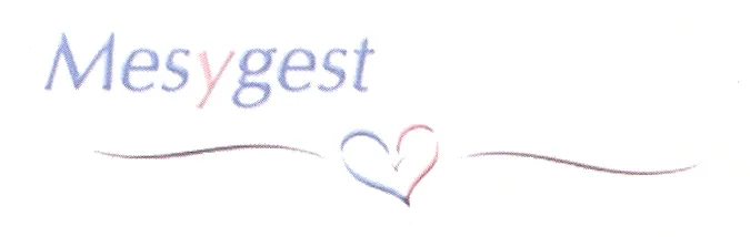 MESYGEST