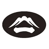 Acta 1482738