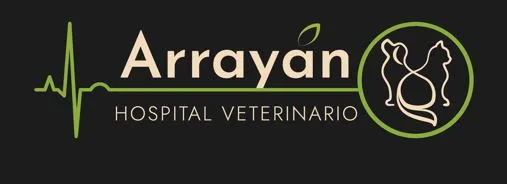 Arrayan