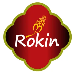 ROKIN