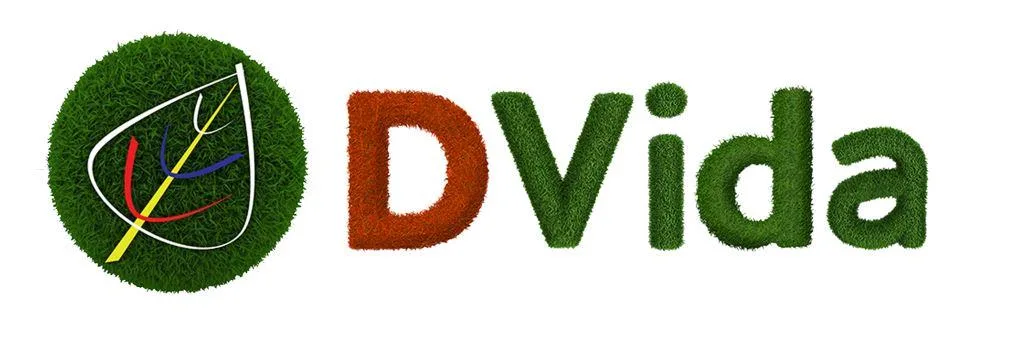 DVida