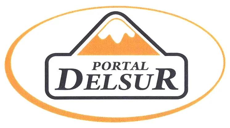 PORTAL DELSUR