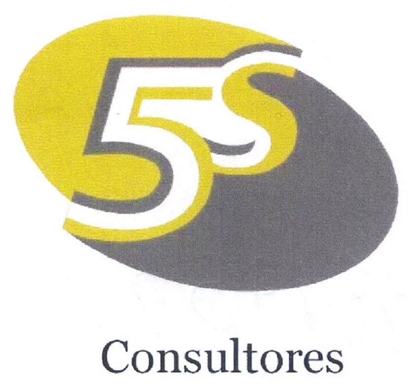 5S CONSULTORES